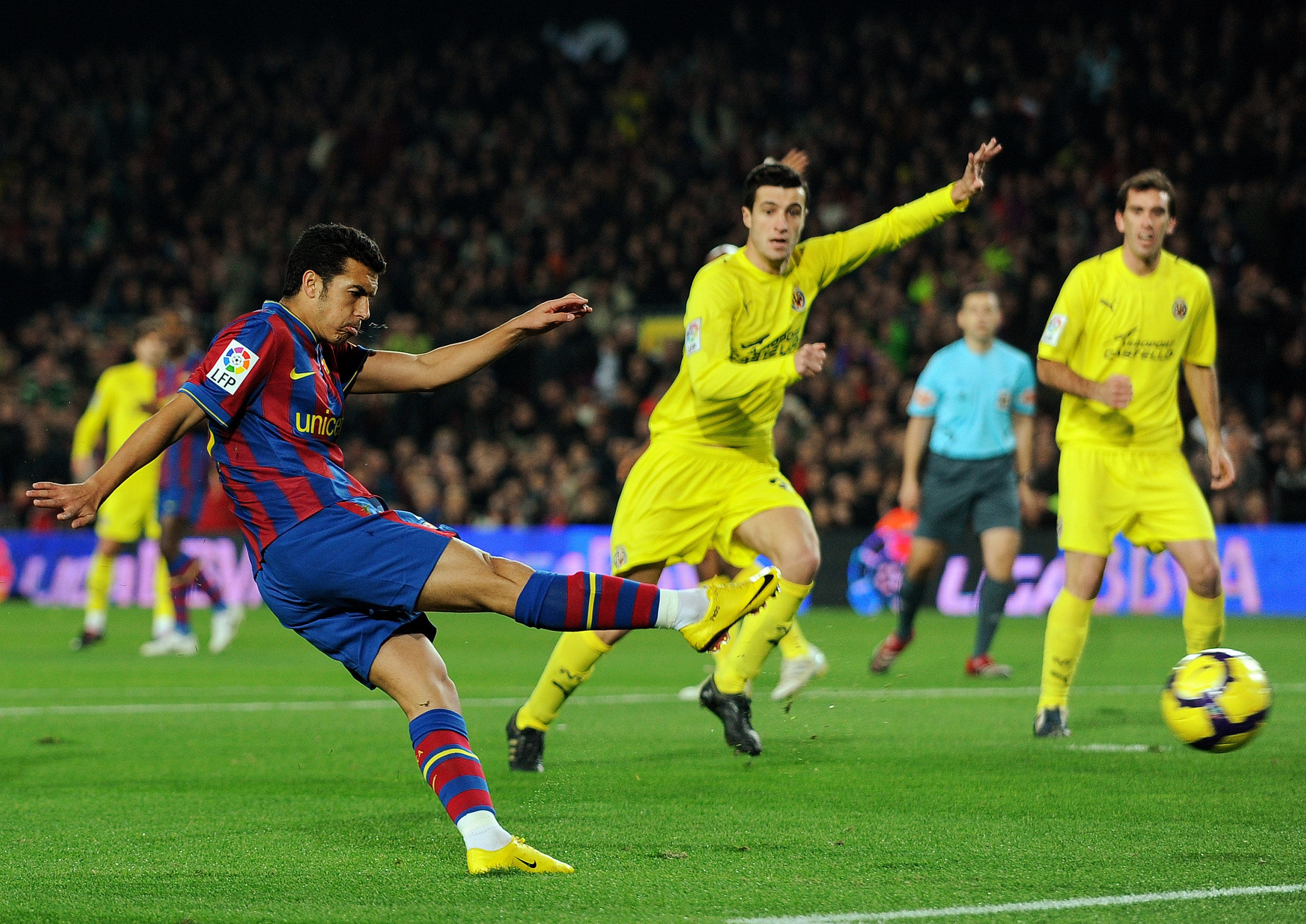 与他有关的 与他有关的